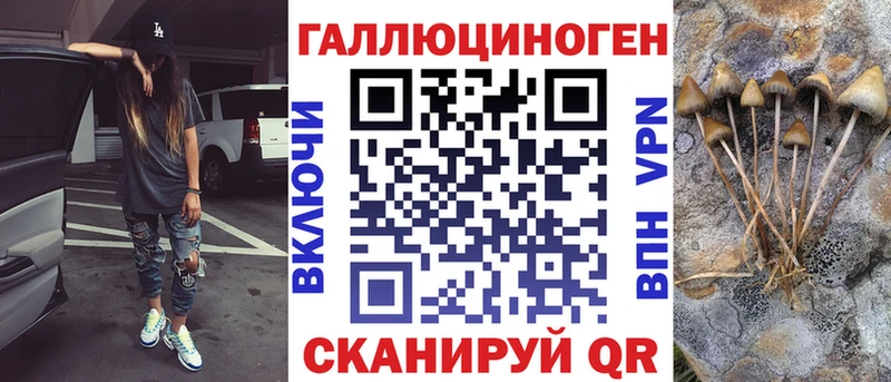 Галлюциногенные грибы прущие грибы  блэк спрут зеркало  Астрахань  где купить наркотик 