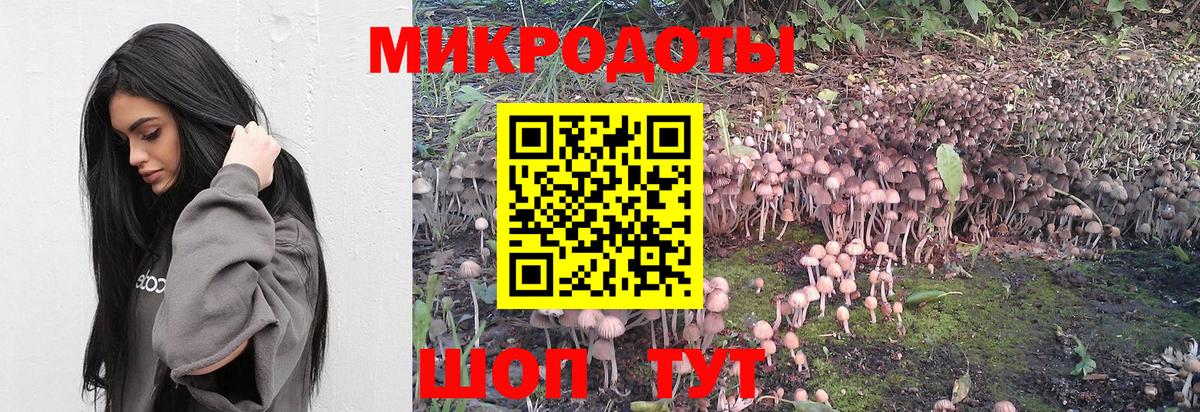 Псилоцибиновые грибы прущие грибы  Псилоцибиновые грибы ЛСД  Астрахань  Вход с VPN 